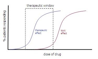 Therapeutic Window